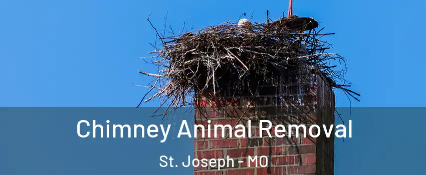  Chimney Animal Removal St. Joseph - MO