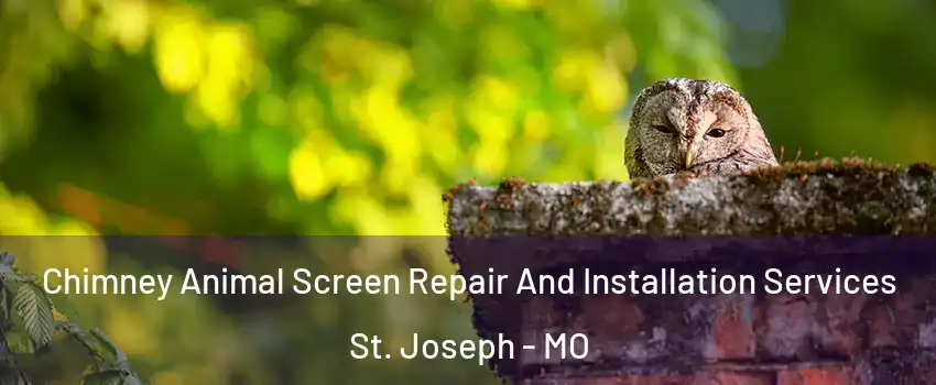  Chimney Animal Screen Repair And Installation Services St. Joseph - MO