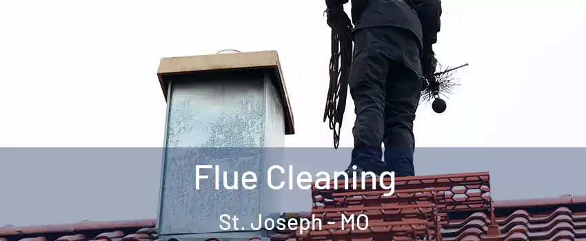  Flue Cleaning St. Joseph - MO