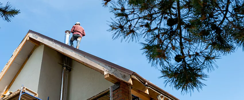 Birds Removal Contractors from Chimney in St. Joseph, MO