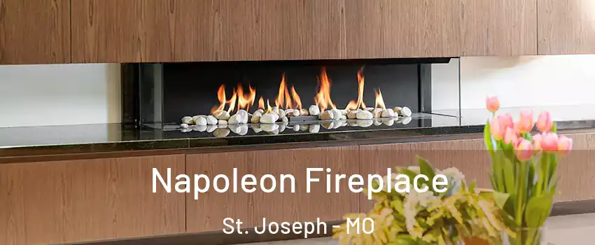  Napoleon Fireplace St. Joseph - MO